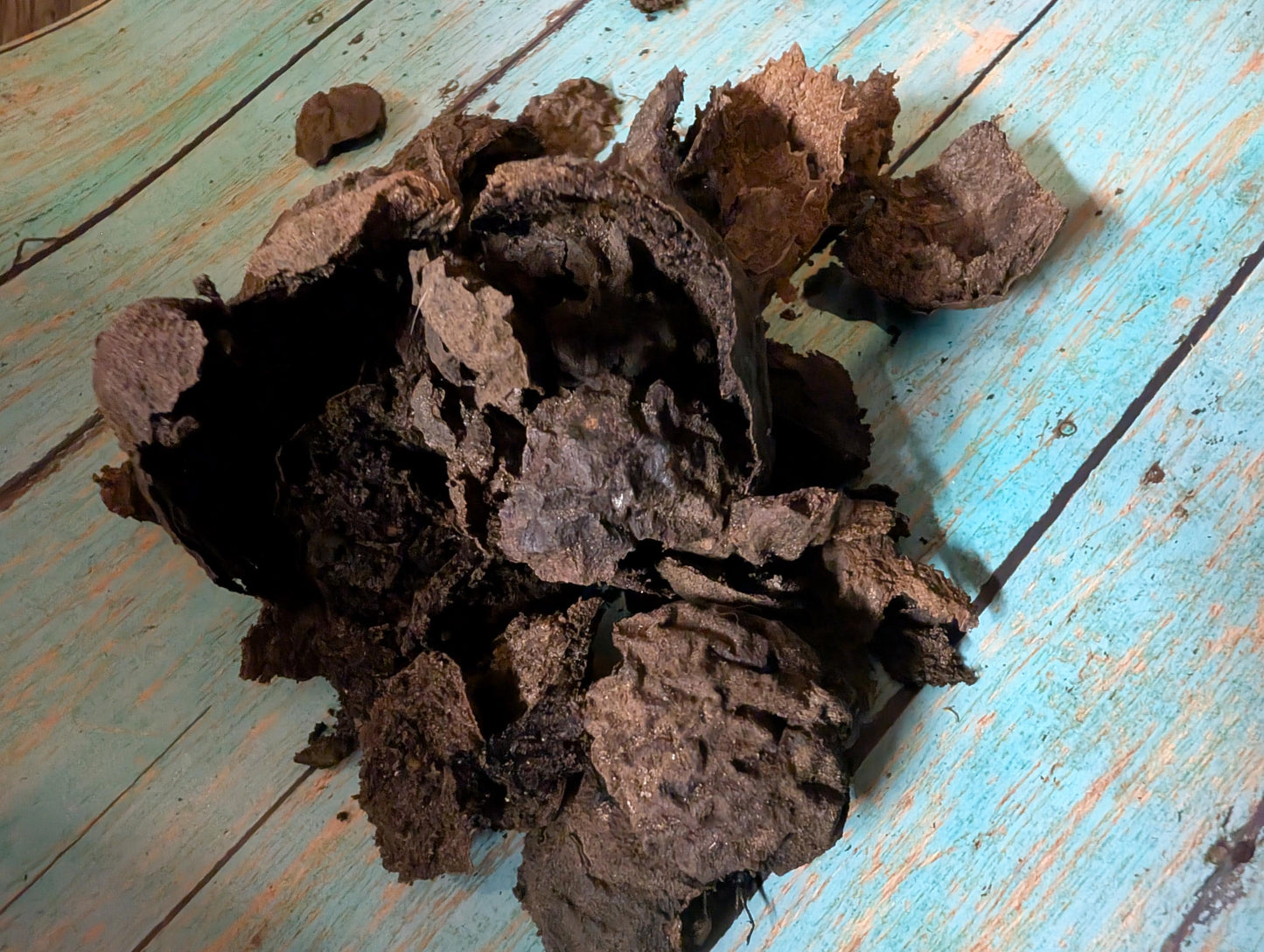 Eastern Black Walnut Hulls: Natural Dye, Ink & Herbal Craft Supply