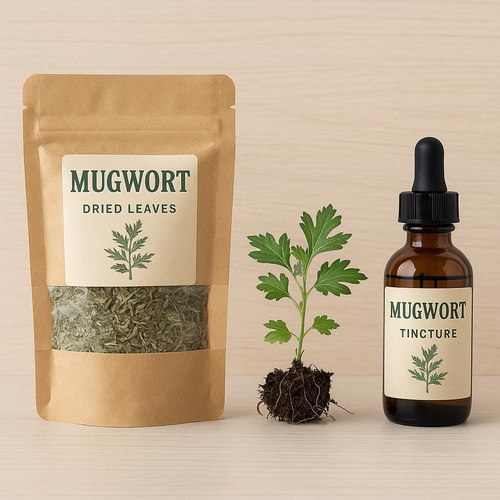 Organic Mugwort: Dried Leaves
