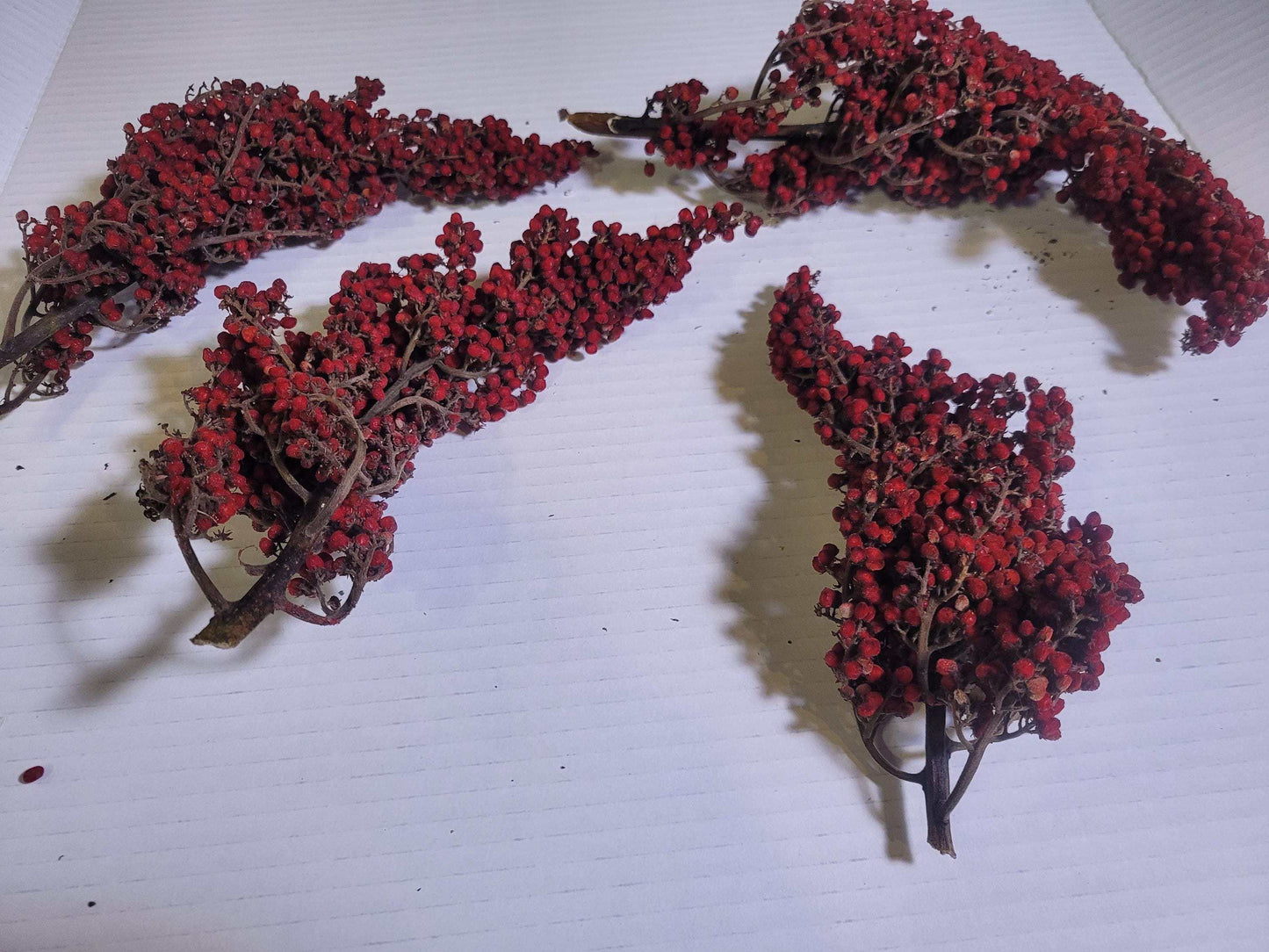 Premium Dried Sumac Berry Heads – Natural Red Clusters for Wreaths, Rustic Decor, Crafts, Resin Art, Wild Foraged Botanicals