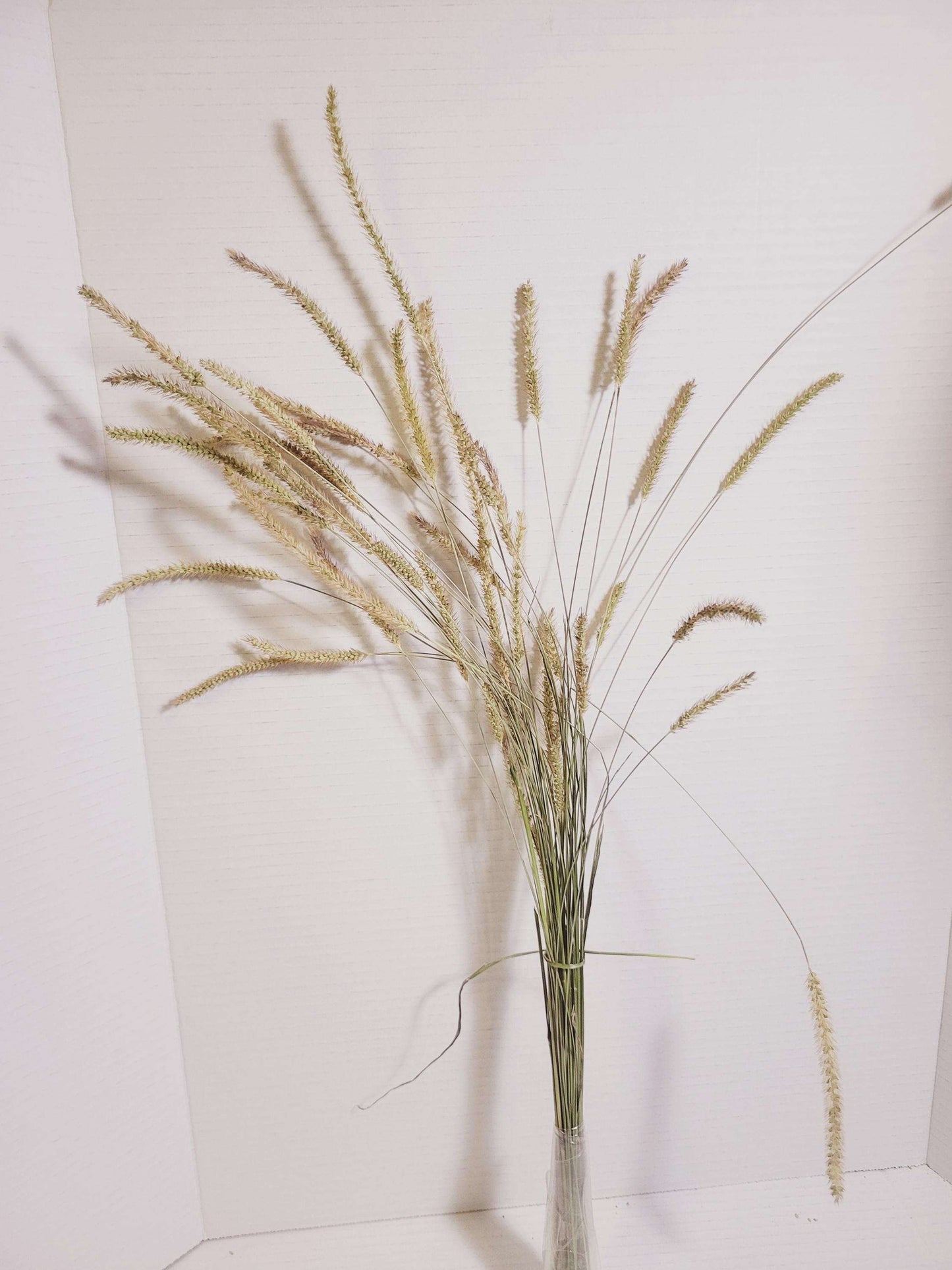 Dried Green Foxtail Grass Bundle: Rustic Floral Arrangement Supply