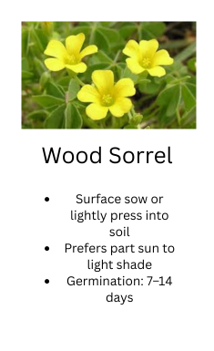 Foraged Edibles Seed Bundle – 5 Wild, Easy-Growing Edible Plants