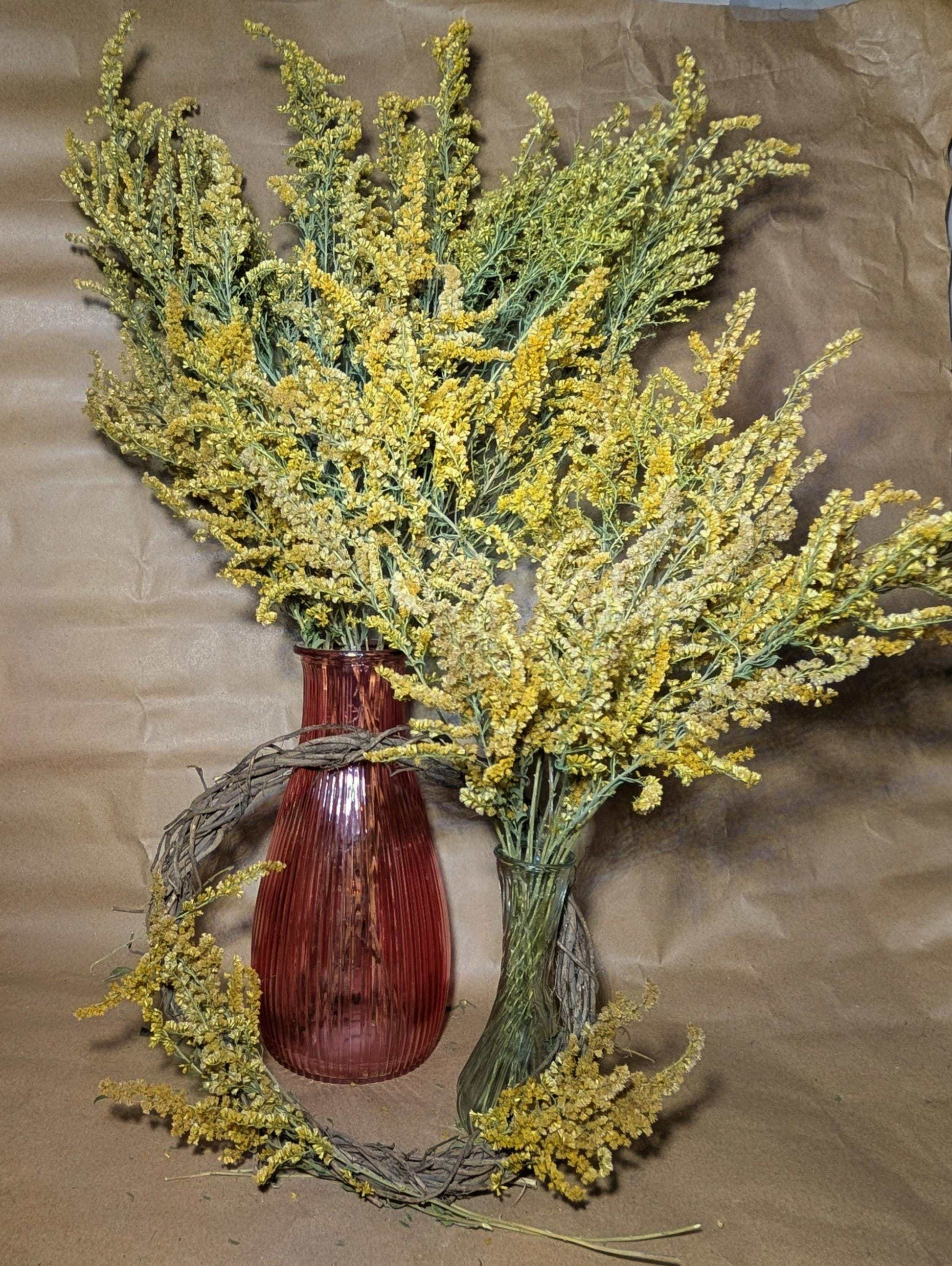 Dried Goldenrod Stems – Natural Yellow Wildflowers for Crafts, Bouquets & Wreaths – Preserved Solidago Floral Decor