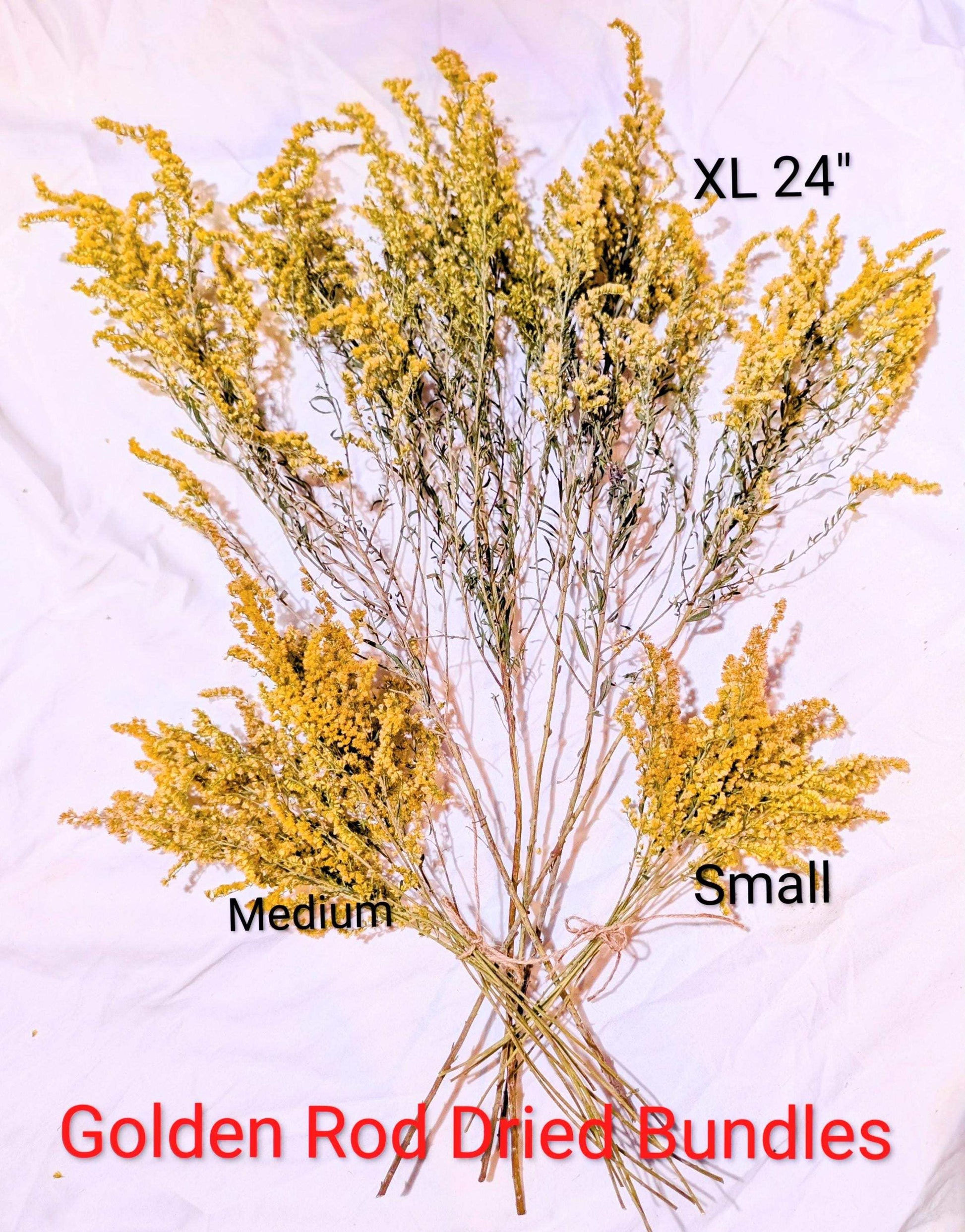 Dried Goldenrod Stems – Natural Yellow Wildflowers for Crafts, Bouquets & Wreaths – Preserved Solidago Floral Decor