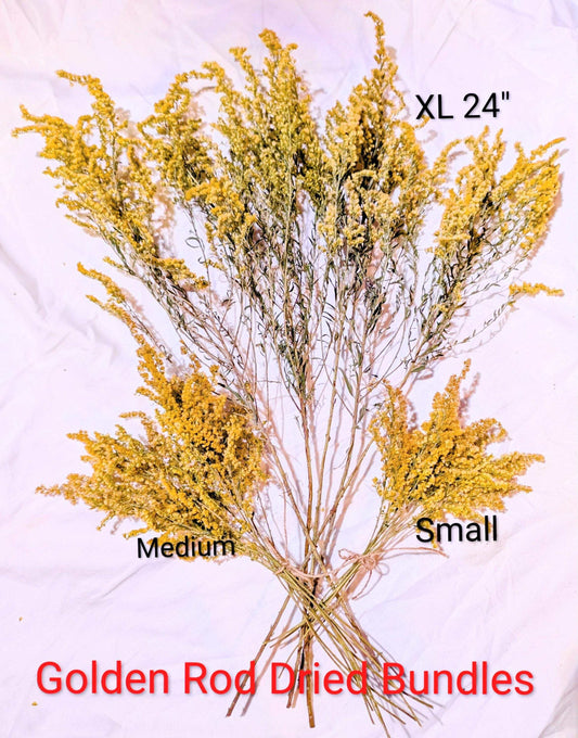 Dried Goldenrod Stems – Natural Yellow Wildflowers for Crafts, Bouquets & Wreaths – Preserved Solidago Floral Decor