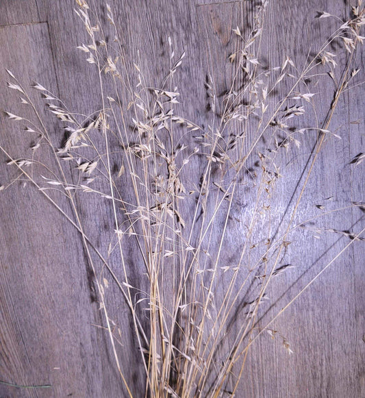 Dried Wild Grass Stems: Boho Floral Decor, Minimalist Arrangement