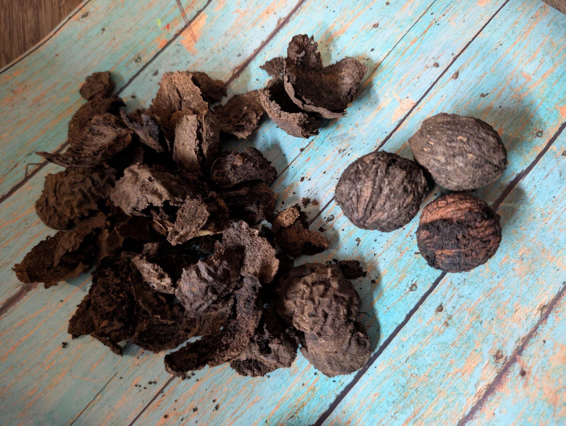 Eastern Black Walnut Hulls: Natural Dye, Ink & Herbal Craft Supply