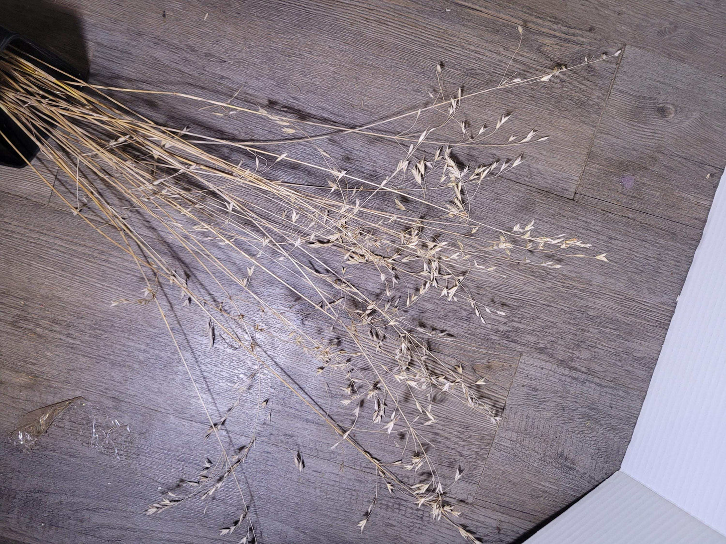 Dried Wild Grass Stems: Boho Floral Decor, Minimalist Arrangement