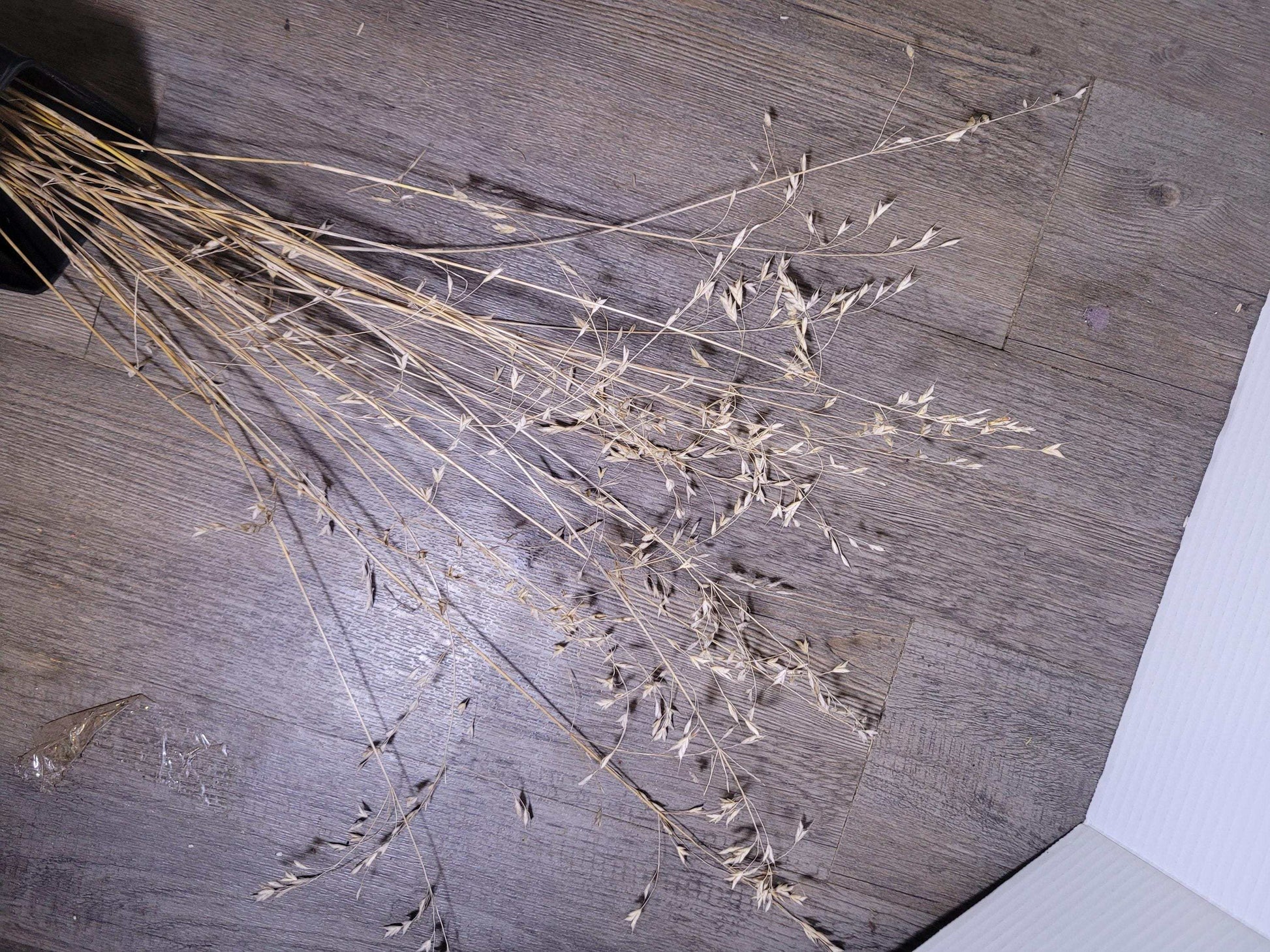 Dried Wild Grass Stems: Boho Floral Decor, Minimalist Arrangement