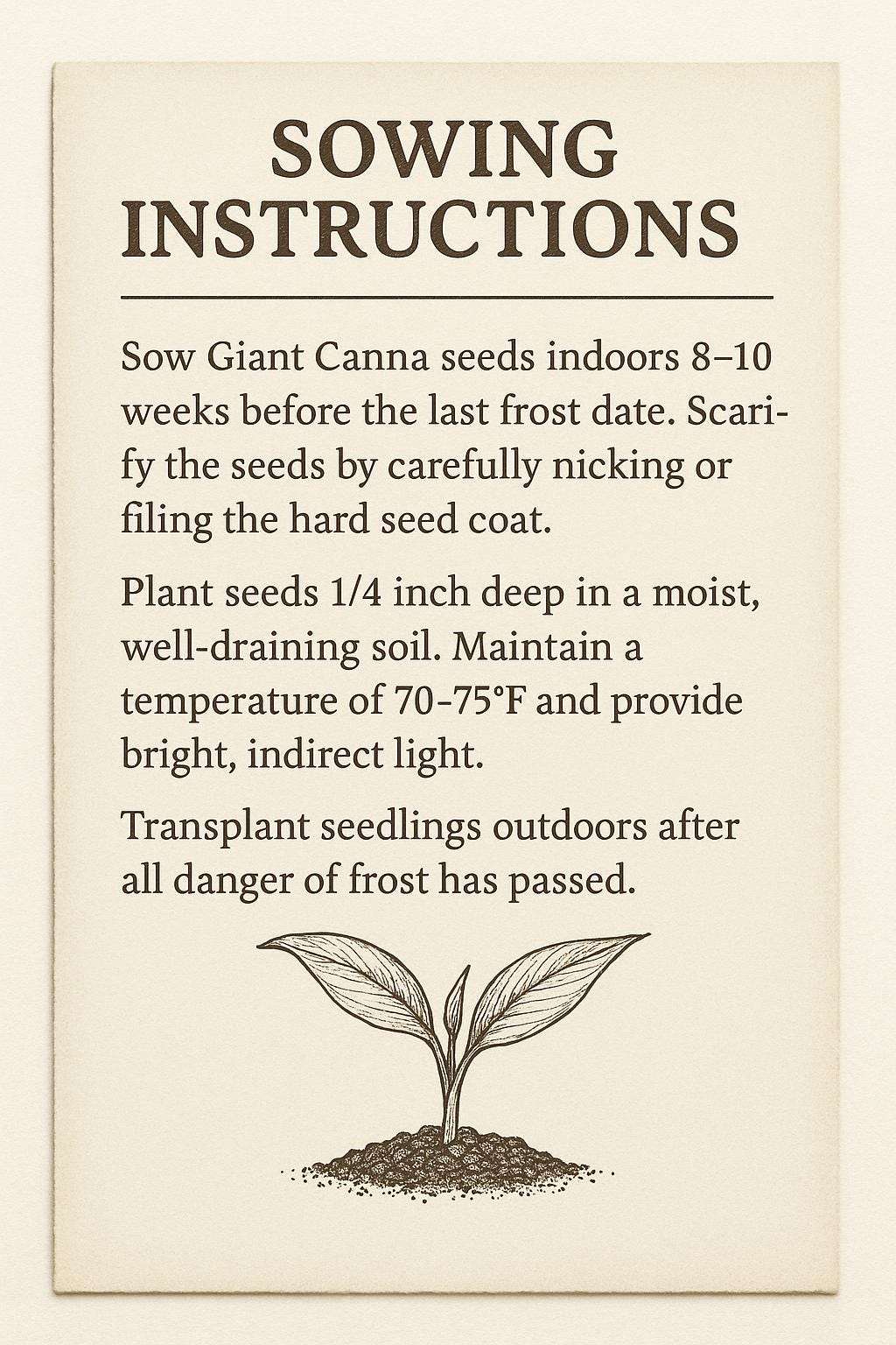 Giant Canna Lily Seed Kit | Custom Tropical Flower | Whimsical Gardening Gift