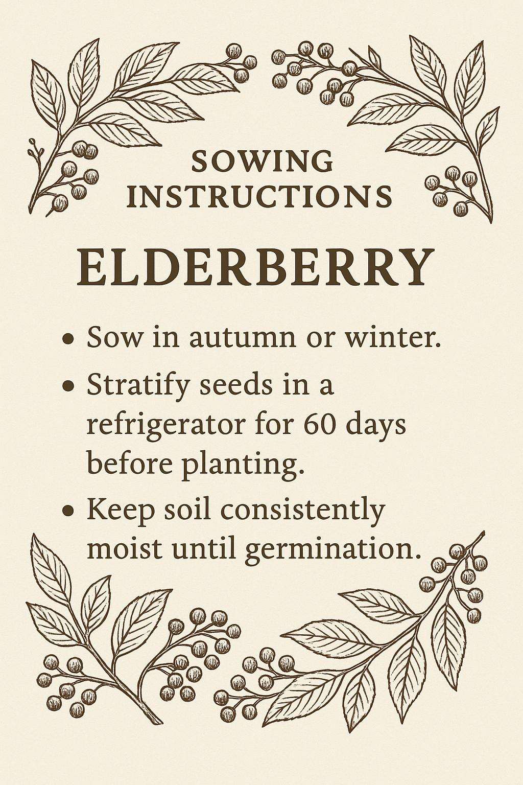 Sustainable Seed Packet | Elderberry Syrup Backyard Plant | Natural Boho Garden Kit