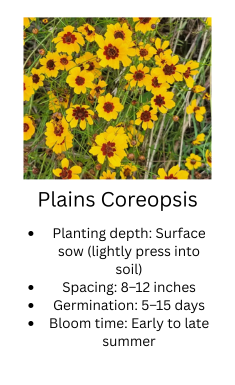 Plants of Plains Coreopsis with planting information displayed below.