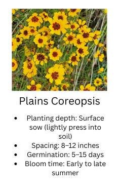 Bright Bee trio - Image 2