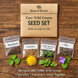 Easy Wild Greens Seed Set - Edible Groundcover Mix